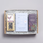 DBHF_TEDDYSWISH_BOOK_TEA_BISCUIT_IN.jpg